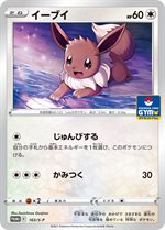 お値打ち品 - ポケモンカード PSA10 ブラッキーS-P プロモ ジム 投稿時