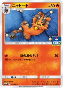 313/SM-P Torracat | Pokemon TCG Promo