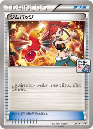 Image of Gym Badge [Flannery] promo